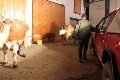 fr Detailansicht klicken