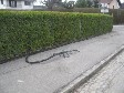 fr Detailansicht klicken