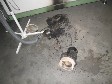 fr Detailansicht klicken