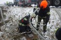 fr Detailansicht klicken
