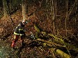fr Detailansicht klicken