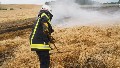 fr Detailansicht klicken
