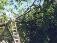 fr Detailansicht klicken