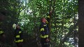 fr Detailansicht klicken