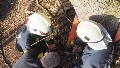 fr Detailansicht klicken